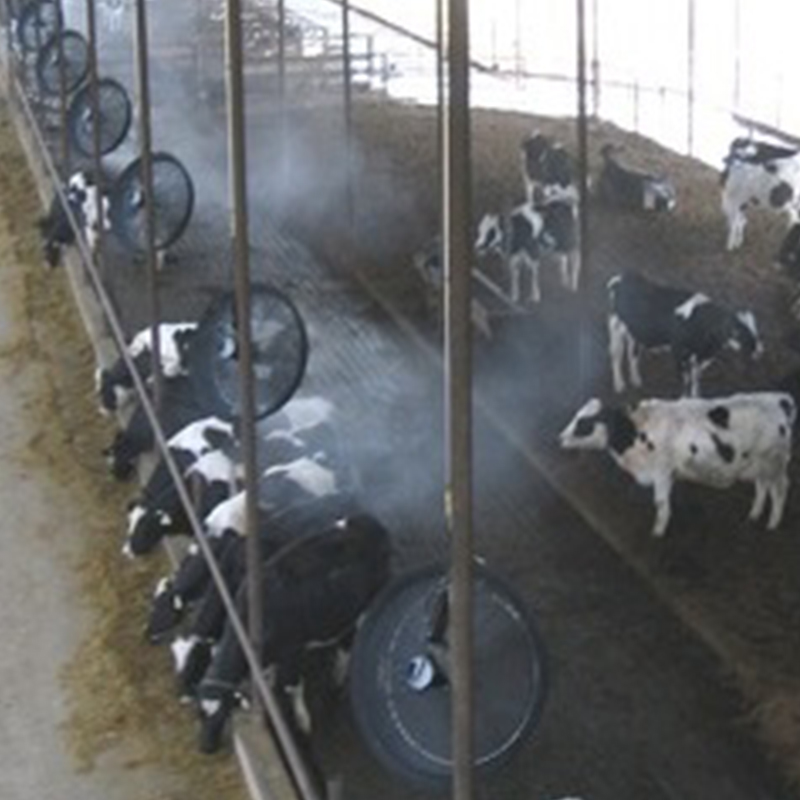 畜禽舍鸡舍猪舍牛舍蛇蝎降温消毒养殖场自动喷雾系统厂家