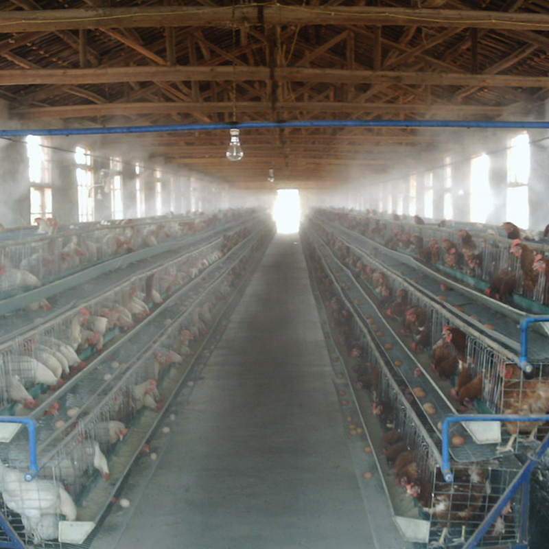 养殖喷雾设备降温杀菌消毒养殖场微雾雾化养殖喷雾加湿系统