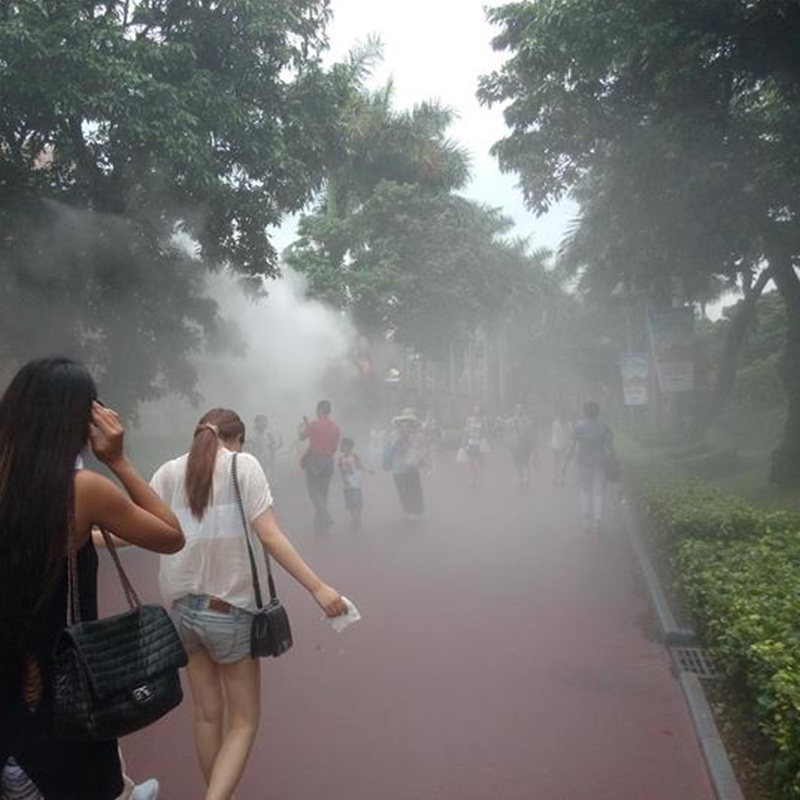 广东创利承接安装别墅花园小区假山鱼池喷雾造景系统 喷雾工程