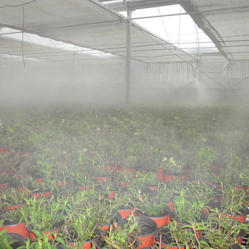 温室大棚室内培植种植花草树苗果苗草药喷淋灌溉降温人造喷雾工程