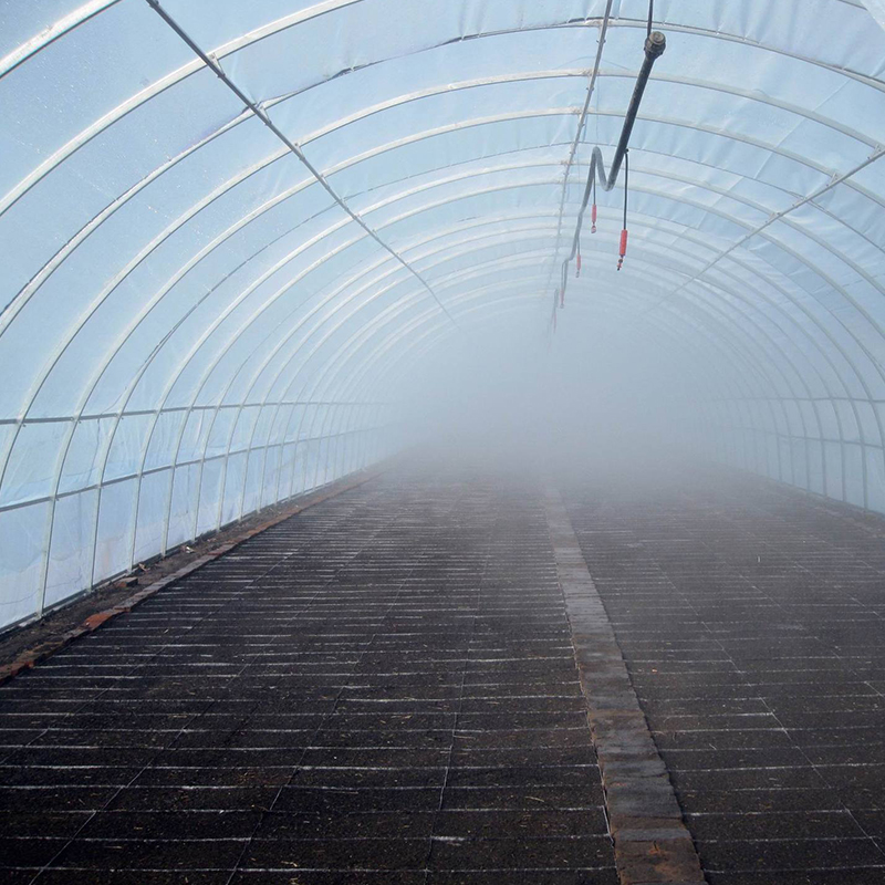 安装大棚室内加湿 恒温湿设备 香菇冬菇菌类培植喷雾雾化系统