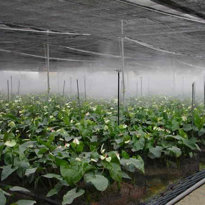 果蔬温室大棚 花草种植 室内种植喷雾降温 喷淋灌溉 加湿雾化工程