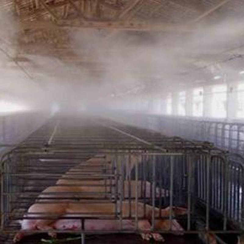 广东创利安装养殖禽舍雾化消毒 人造雾降温杀菌 自动喷雾消毒系统
