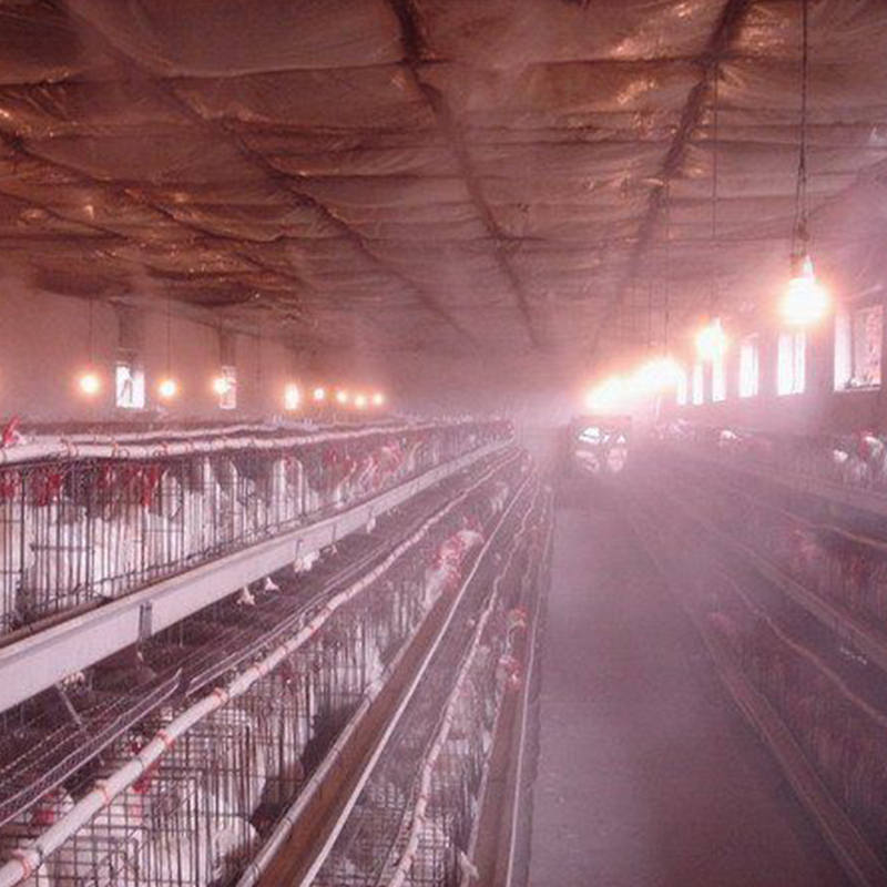 广东创利设计安装人造雾喷雾工程 人造雾系统 园林绿化景观喷雾