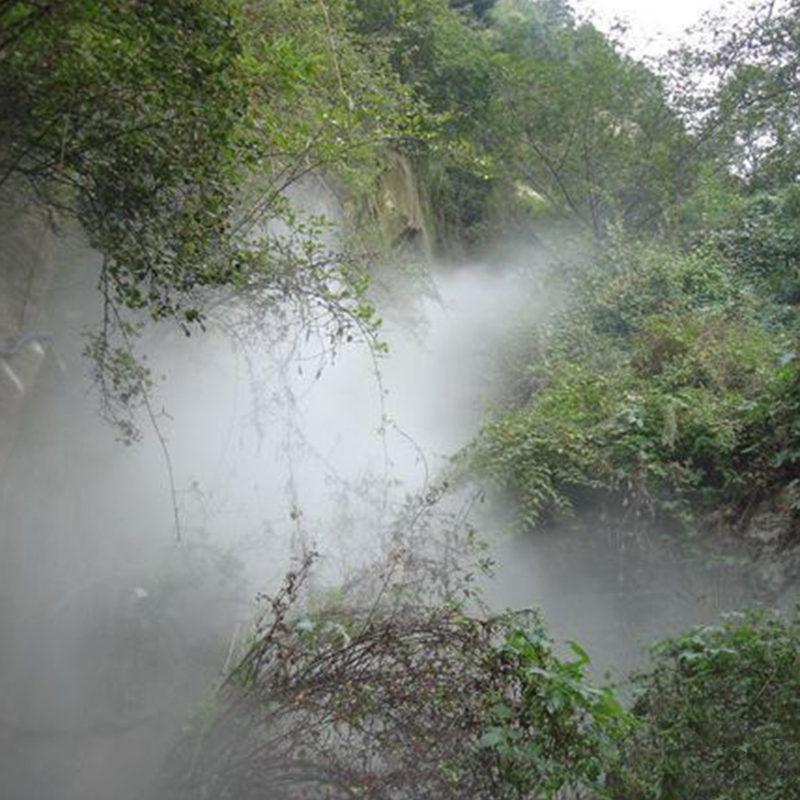 旅游景区景观小区别墅造景喷雾工程 假山造景 水池喷雾烟雾工程